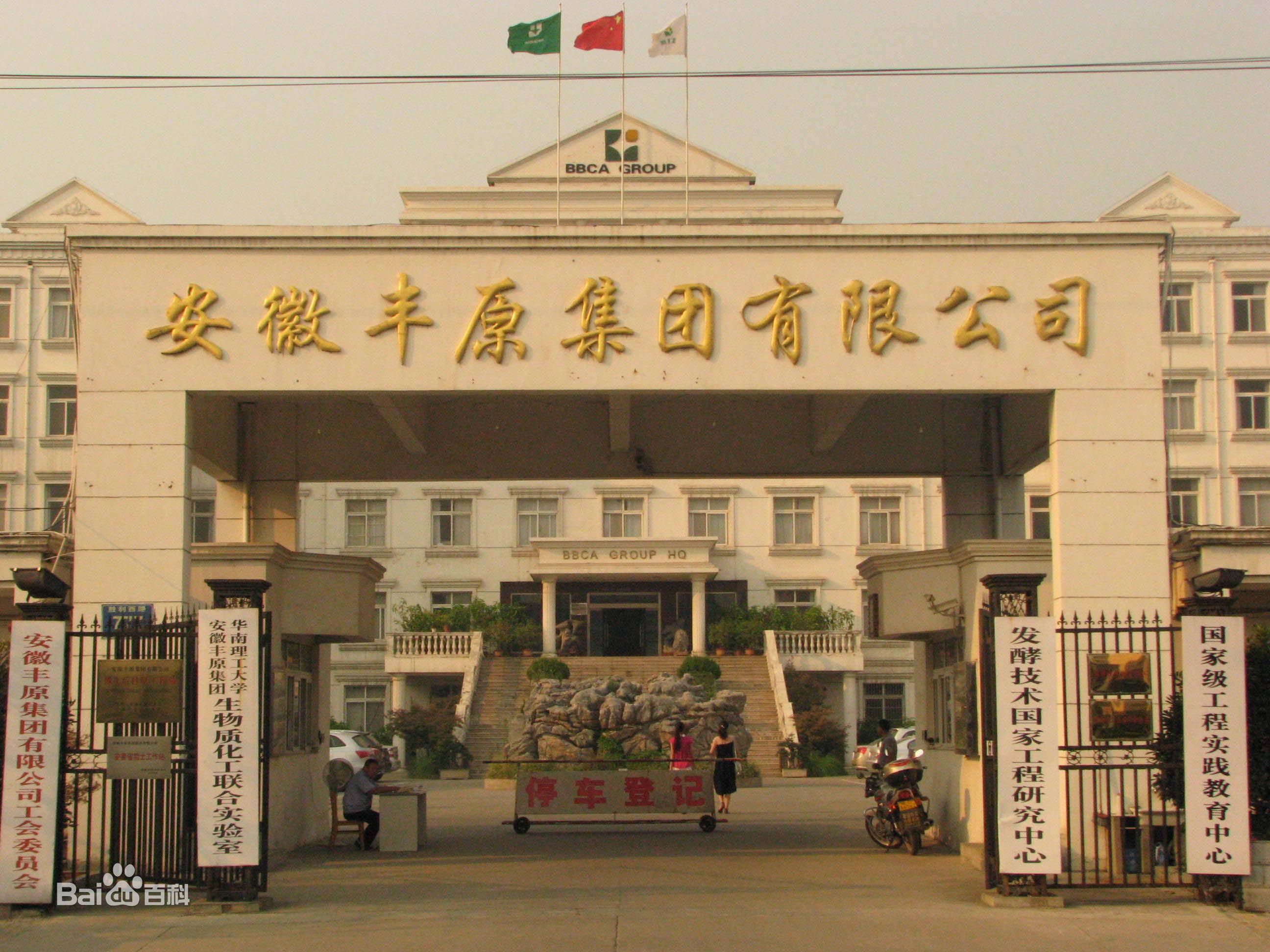 安徽豐原集團有限公司低溫冷水機組系統實景